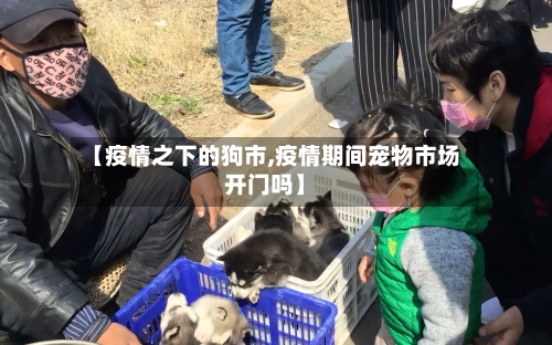 【疫情之下的狗市,疫情期间宠物市场开门吗】-第1张图片