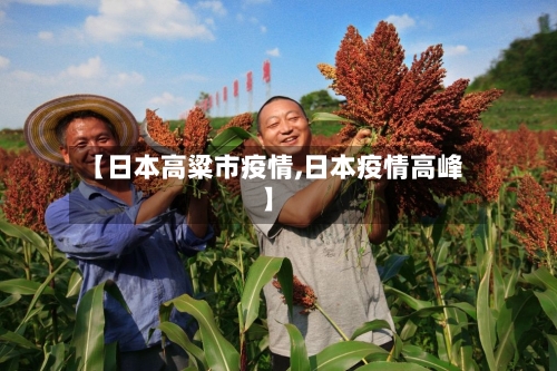 【日本高粱市疫情,日本疫情高峰】-第3张图片