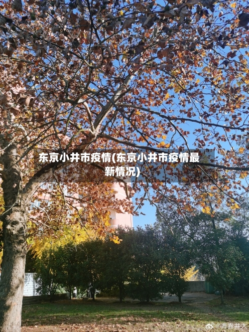 东京小井市疫情(东京小井市疫情最新情况)-第1张图片