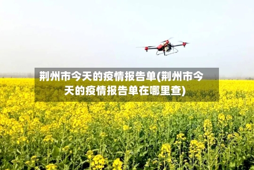 荆州市今天的疫情报告单(荆州市今天的疫情报告单在哪里查)-第1张图片