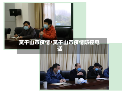 莫干山市疫情/莫干山市疫情防控电话-第2张图片