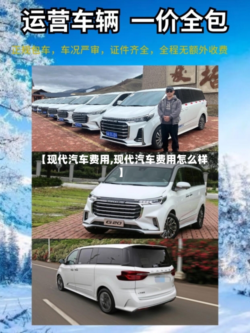 【现代汽车费用,现代汽车费用怎么样】-第3张图片