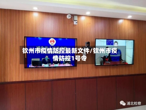 钦州市疫情防控最新文件/钦州市疫情防控1号令-第3张图片
