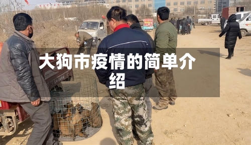 大狗市疫情的简单介绍-第1张图片