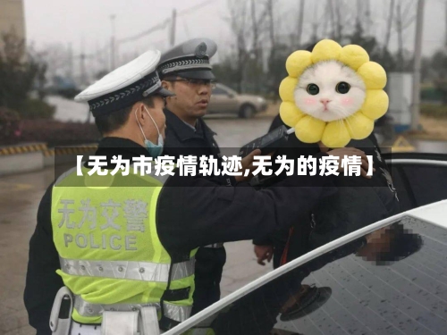 【无为市疫情轨迹,无为的疫情】-第3张图片