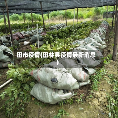 田市疫情(田林县疫情最新消息)-第2张图片
