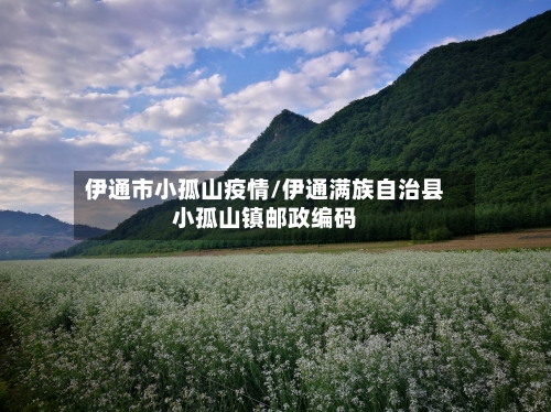 伊通市小孤山疫情/伊通满族自治县小孤山镇邮政编码-第2张图片