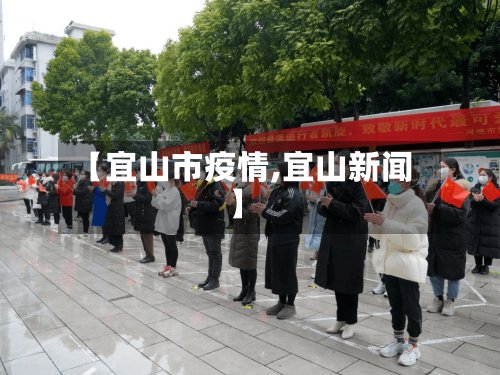 【宜山市疫情,宜山新闻】-第1张图片