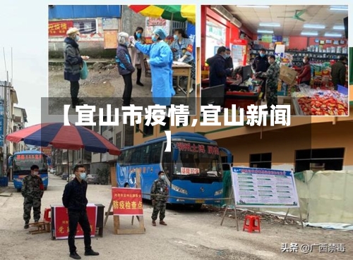 【宜山市疫情,宜山新闻】-第2张图片