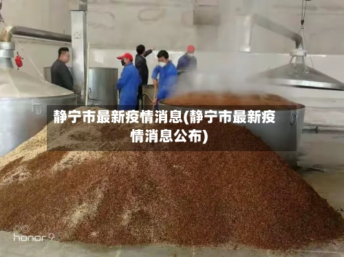 静宁市最新疫情消息(静宁市最新疫情消息公布)-第2张图片