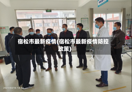 宿松市最新疫情(宿松市最新疫情防控政策)-第2张图片