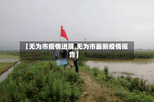 【无为市疫情进展,无为市最新疫情报告】-第1张图片