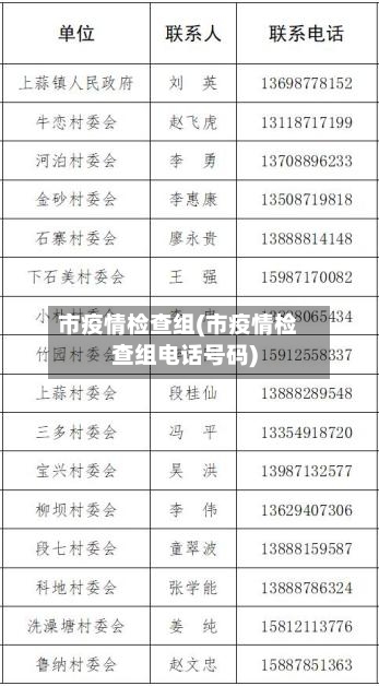 市疫情检查组(市疫情检查组电话号码)-第2张图片