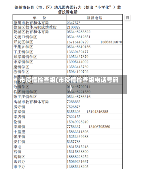 市疫情检查组(市疫情检查组电话号码)-第1张图片