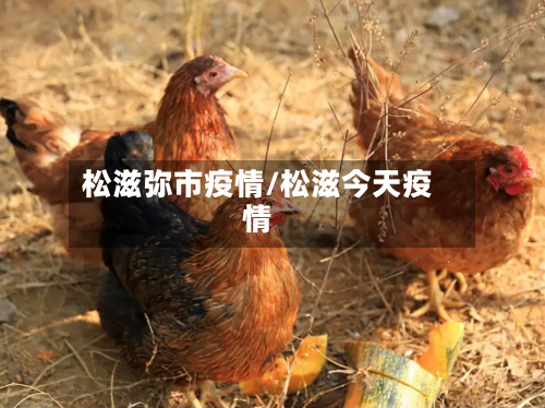 松滋弥市疫情/松滋今天疫情-第2张图片
