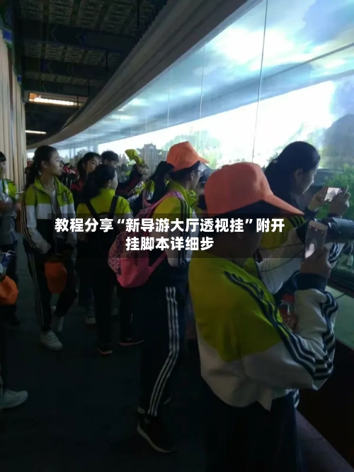 教程分享“新导游大厅透视挂”附开挂脚本详细步-第1张图片