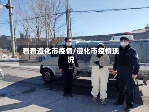 看看遵化市疫情/遵化市疫情现况-第2张图片