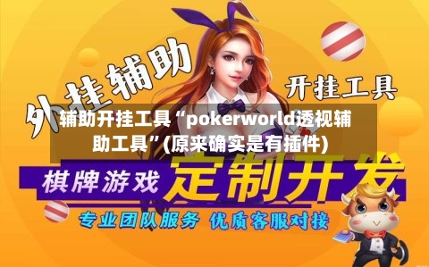 辅助开挂工具“pokerworld透视辅助工具”(原来确实是有插件)-第1张图片