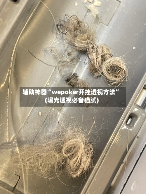 辅助神器“wepoker开挂透视方法	”(曝光透视必备猫腻)-第2张图片