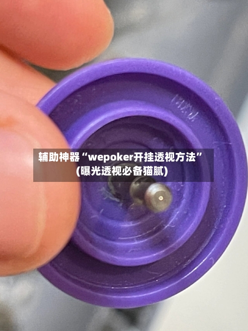 辅助神器“wepoker开挂透视方法”(曝光透视必备猫腻)-第1张图片