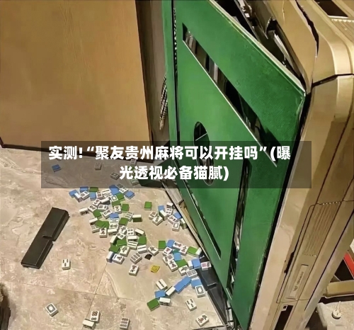 实测!“聚友贵州麻将可以开挂吗”(曝光透视必备猫腻)-第2张图片