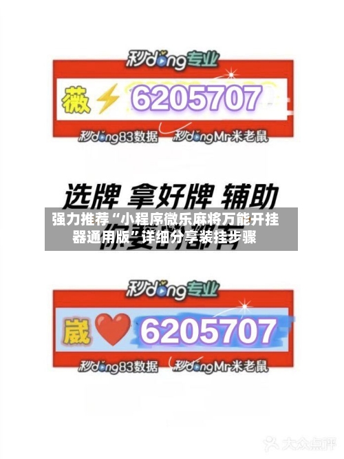 强力推荐“小程序微乐麻将万能开挂器通用版”详细分享装挂步骤-第3张图片