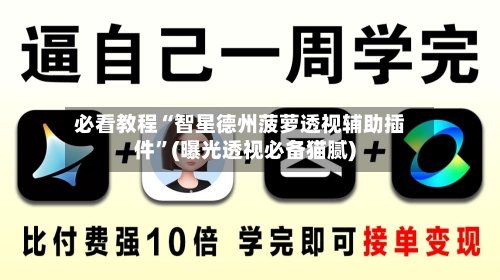 必看教程“智星德州菠萝透视辅助插件”(曝光透视必备猫腻)-第2张图片