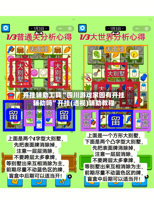 开挂辅助工具“四川游戏家园有开挂辅助吗”开挂(透视)辅助教程-第3张图片