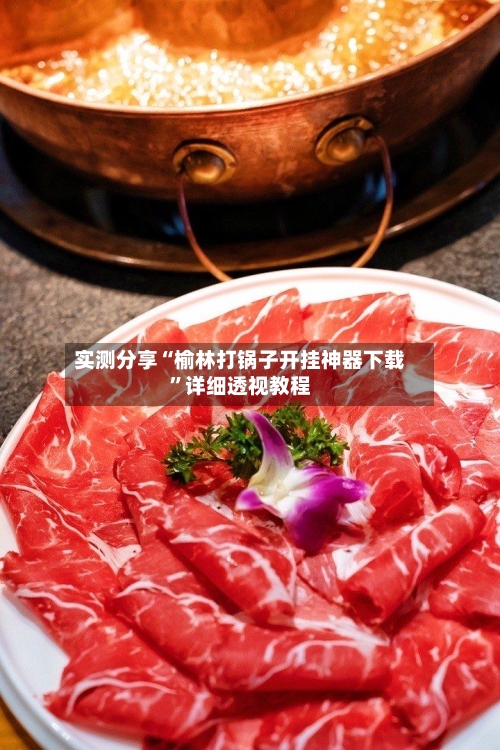 实测分享“榆林打锅子开挂神器下载”详细透视教程-第1张图片