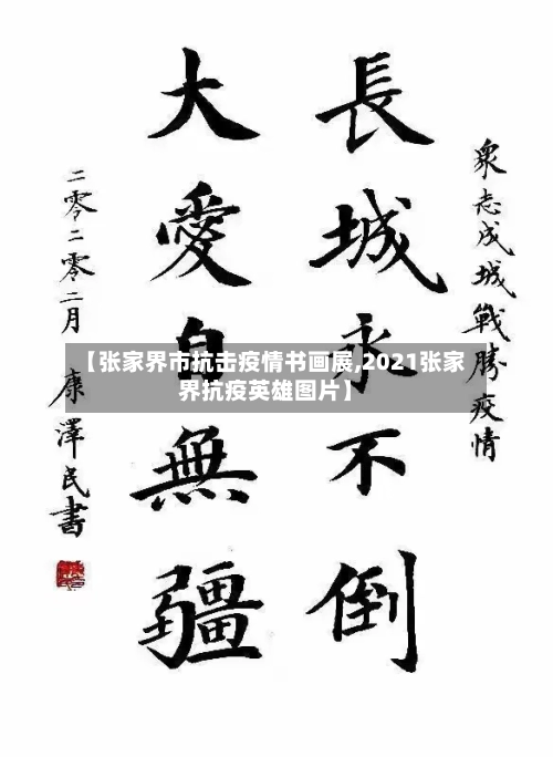 【张家界市抗击疫情书画展,2021张家界抗疫英雄图片】-第2张图片