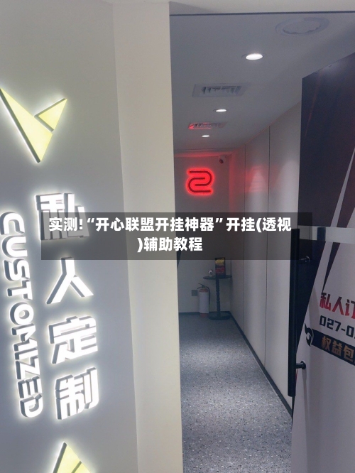 实测!“开心联盟开挂神器”开挂(透视)辅助教程-第1张图片