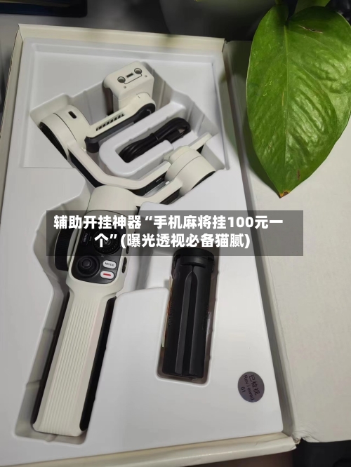 辅助开挂神器“手机麻将挂100元一个	”(曝光透视必备猫腻)-第1张图片