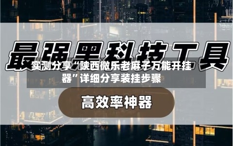 实测分享“陕西微乐老麻子万能开挂器”详细分享装挂步骤-第1张图片
