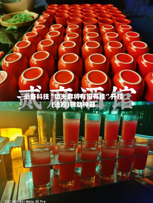 必备科技“功夫麻将有没有挂”开挂(透视)辅助神器-第3张图片