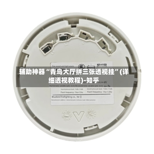 辅助神器“青鸟大厅拼三张透视挂	”(详细透视教程)-知乎-第1张图片