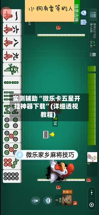 实测辅助“微乐卡五星开挂神器下载”(详细透视教程)-第3张图片