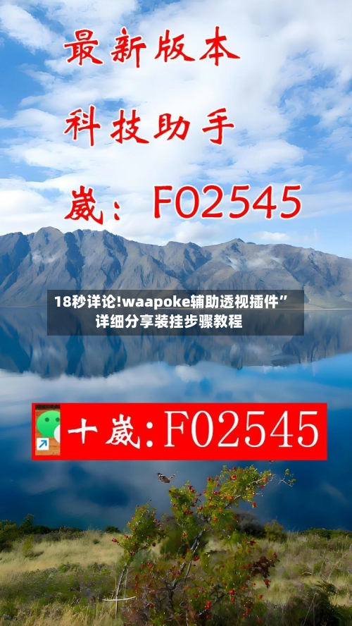 18秒详论!waapoke辅助透视插件”详细分享装挂步骤教程-第3张图片