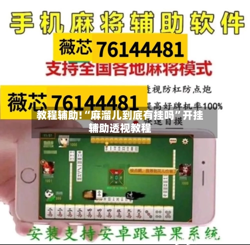 教程辅助!“麻溜儿到底有挂吗”开挂辅助透视教程-第2张图片