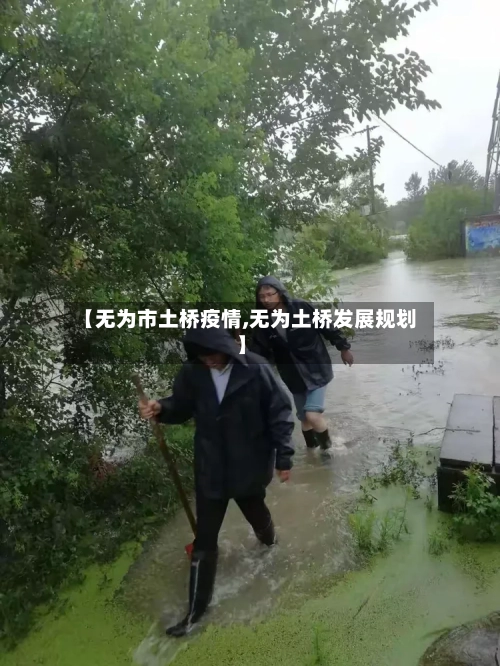 【无为市土桥疫情,无为土桥发展规划】-第1张图片