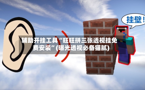 辅助开挂工具“旺旺拼三张透视挂免费安装	”(曝光透视必备猫腻)-第1张图片