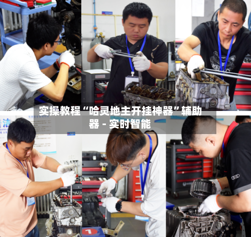 实操教程“哈灵地主开挂神器”辅助器 - 实时智能-第2张图片