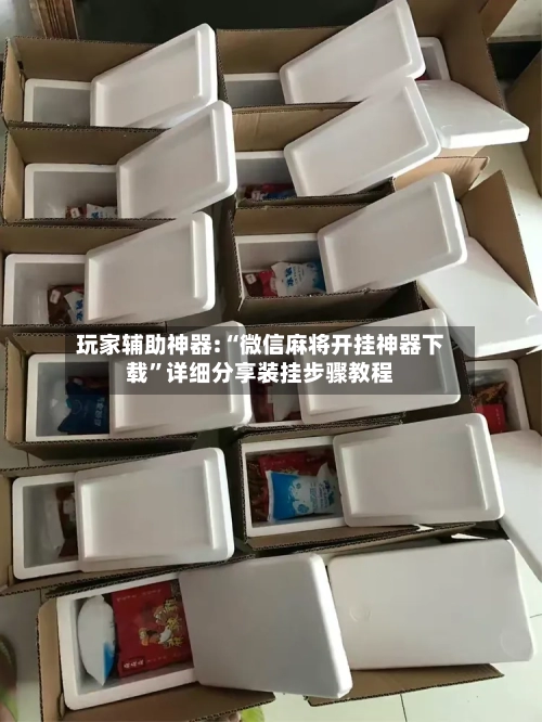 玩家辅助神器:“微信麻将开挂神器下载	”详细分享装挂步骤教程-第1张图片