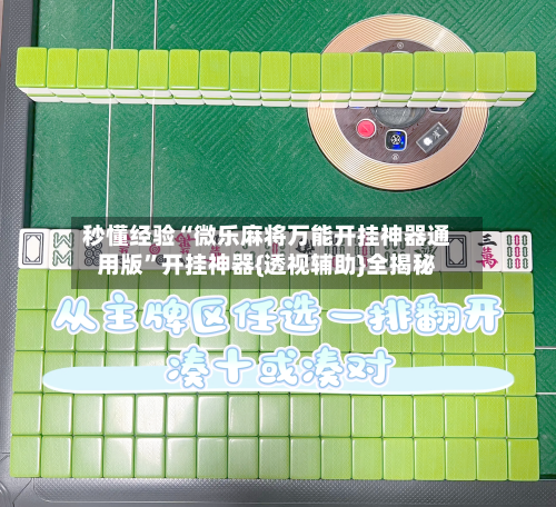 秒懂经验“微乐麻将万能开挂神器通用版”开挂神器{透视辅助}全揭秘-第1张图片
