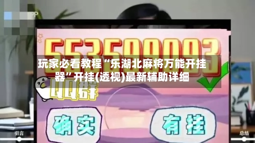 玩家必看教程“乐湖北麻将万能开挂器	”开挂(透视)最新辅助详细-第2张图片