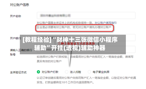 [教程经验]“财神十三张微信小程序辅助”开挂(透视)辅助神器-第1张图片