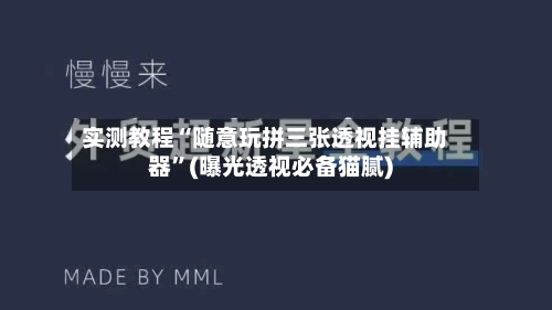 实测教程“随意玩拼三张透视挂辅助器”(曝光透视必备猫腻)-第1张图片