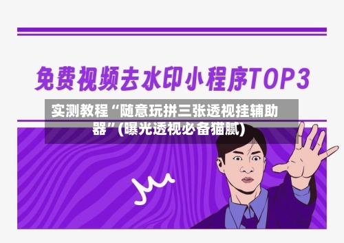 实测教程“随意玩拼三张透视挂辅助器	”(曝光透视必备猫腻)-第2张图片