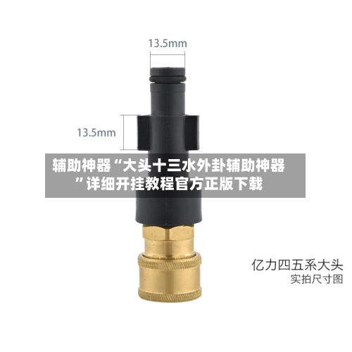 辅助神器“大头十三水外卦辅助神器”详细开挂教程官方正版下载-第3张图片