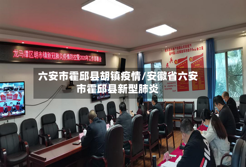 六安市霍邱县胡镇疫情/安徽省六安市霍邱县新型肺炎-第3张图片