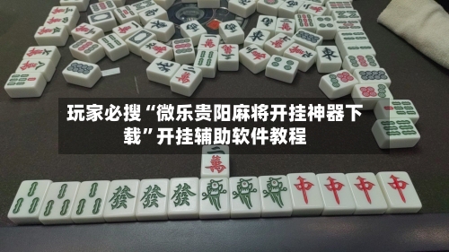 玩家必搜“微乐贵阳麻将开挂神器下载”开挂辅助软件教程-第3张图片